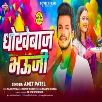 Dhokhebaz Bhauji (Amit Patel)